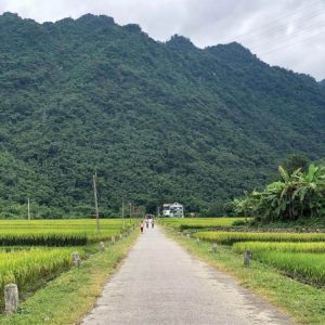mai châu